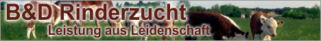 B&D Rinderzucht
